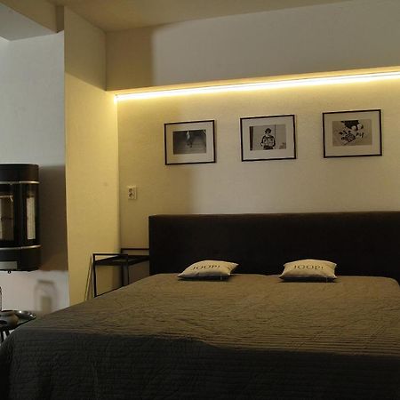 Wellness Gallery Apartments Liberec Dış mekan fotoğraf